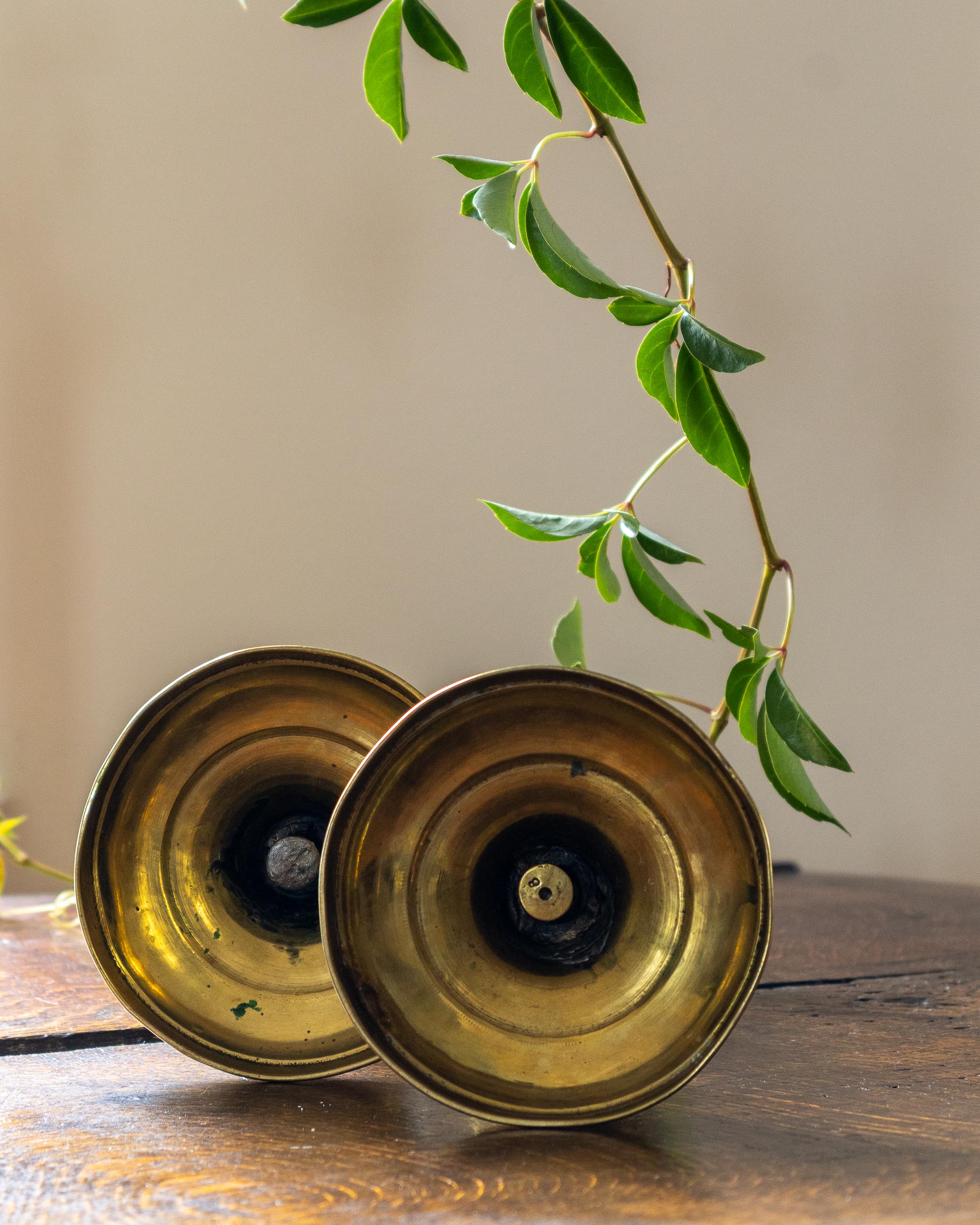 Two brass candlesticks on a wooden surface with a green leafy branch.