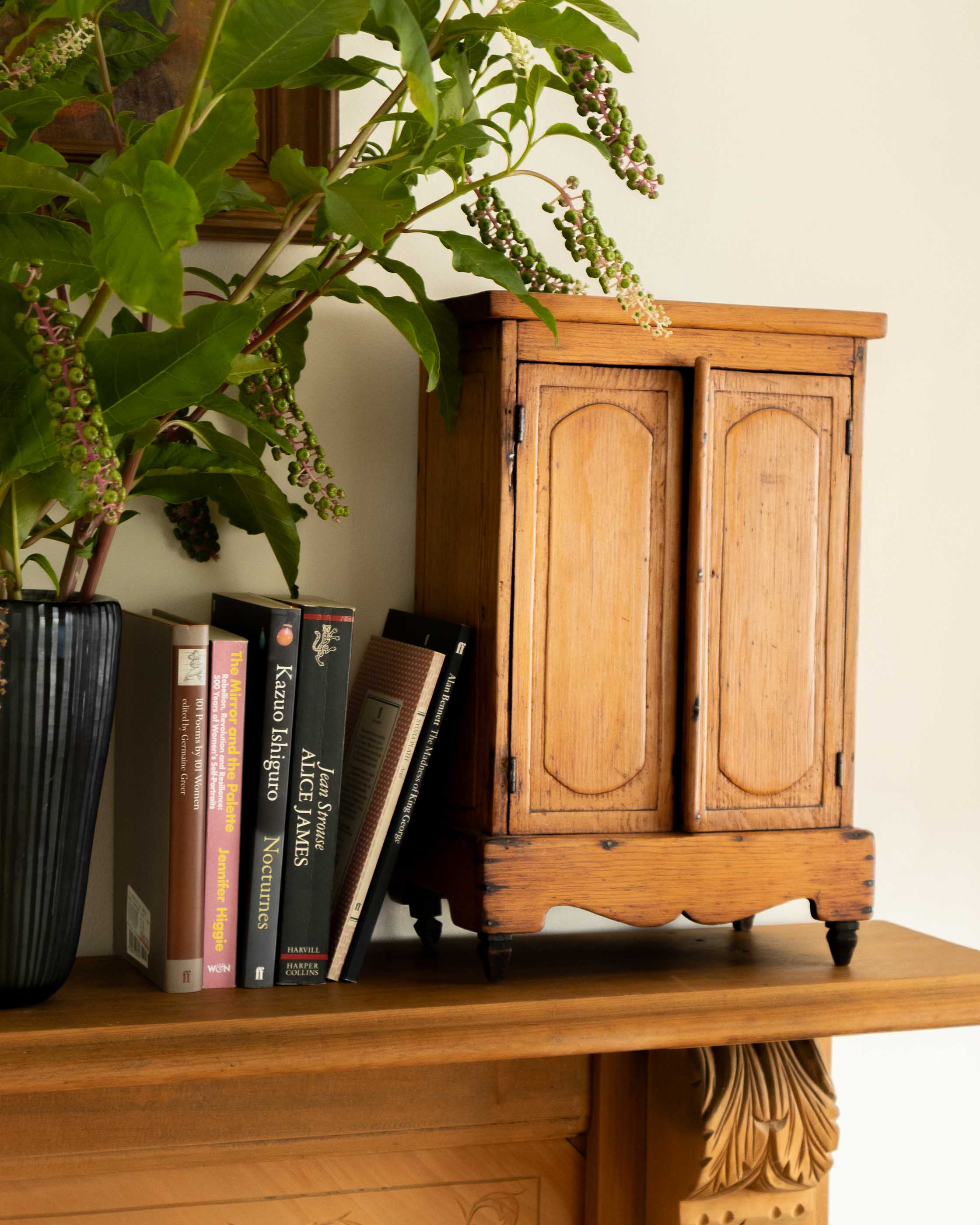 Wooden cabinet with books and a plant on a wooden surface
