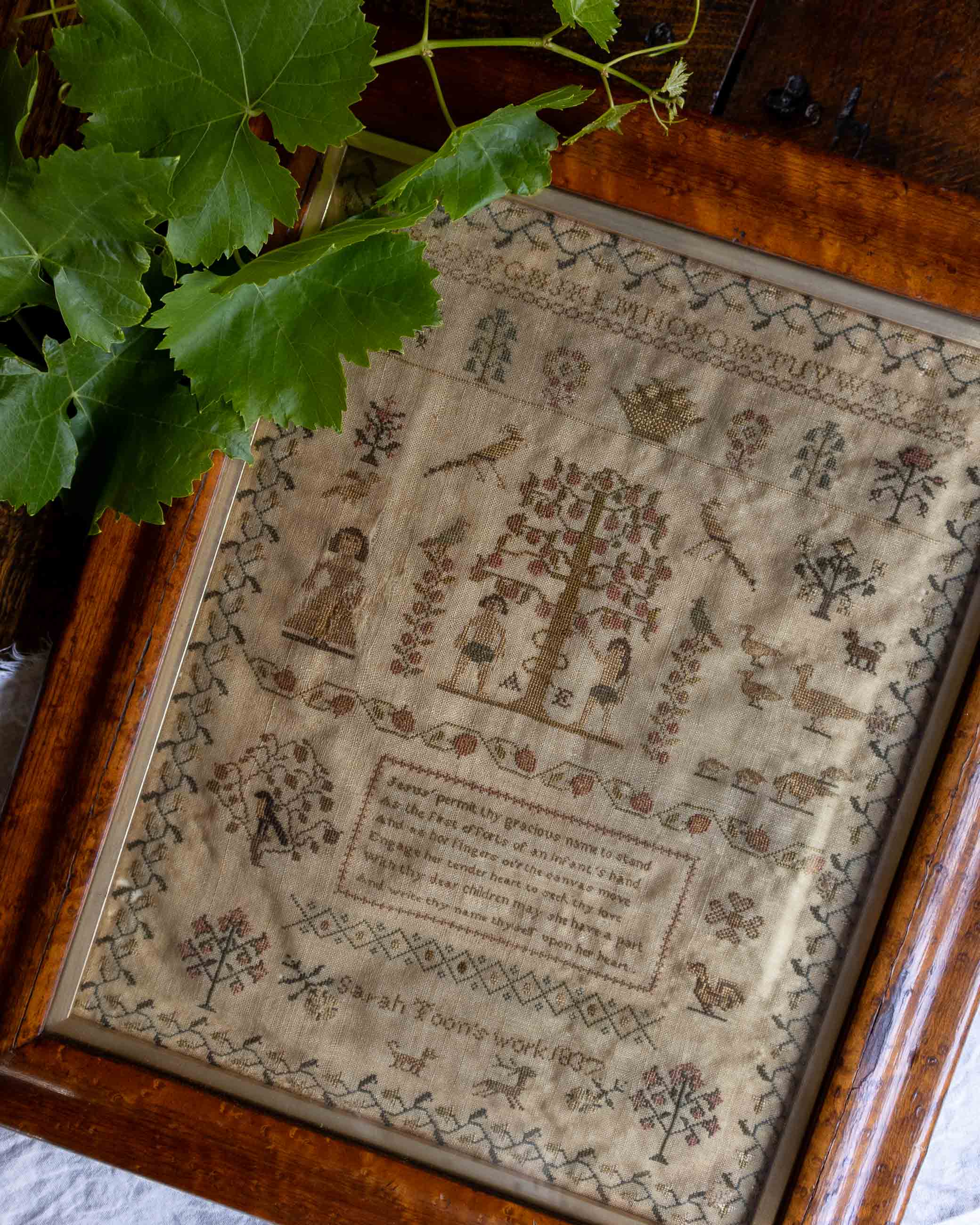 Framed cross stitch sampler with intricate designs and text, placed on a surface with green leaves.
