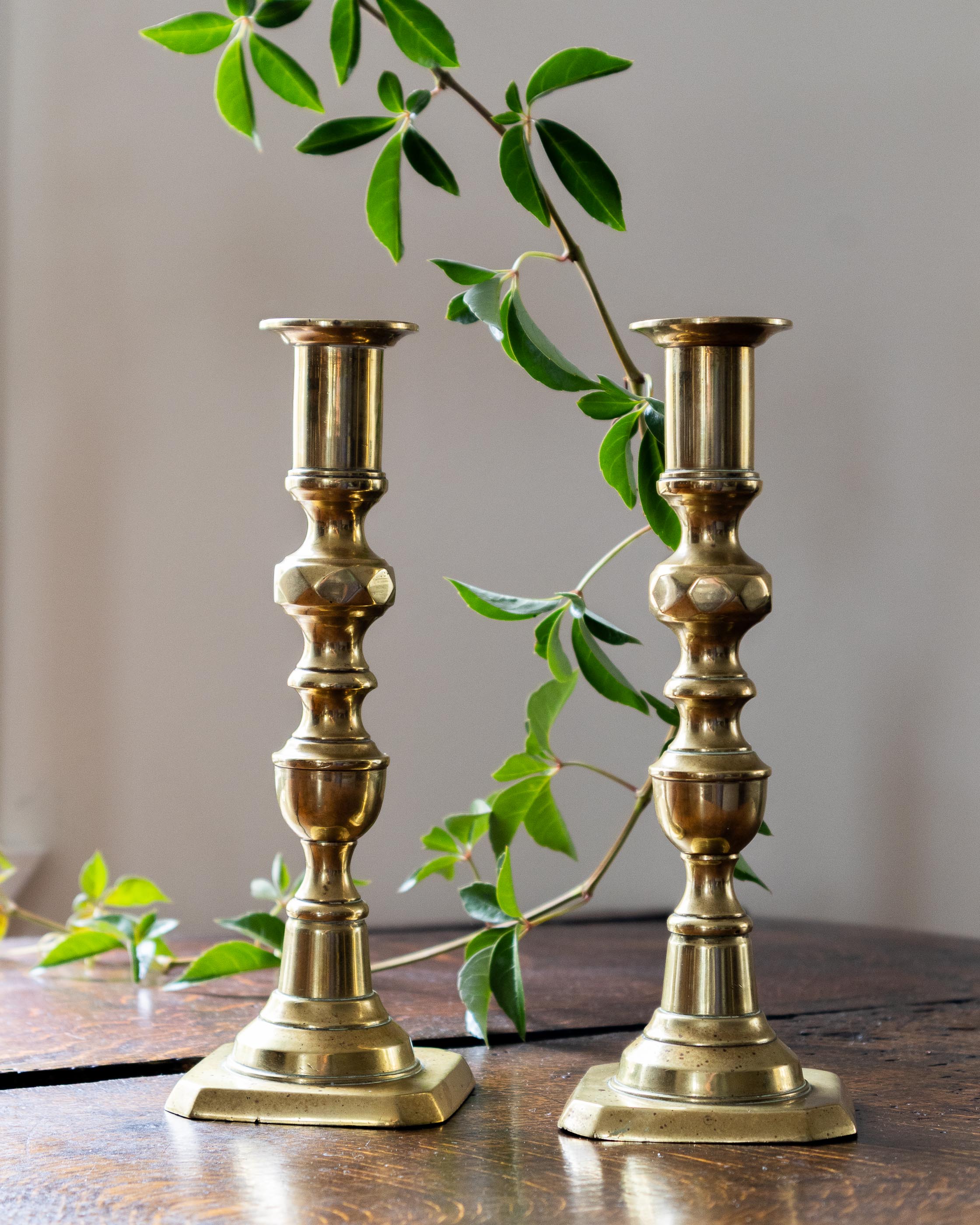 Two brass candlesticks on a wooden surface with green leaves in the background