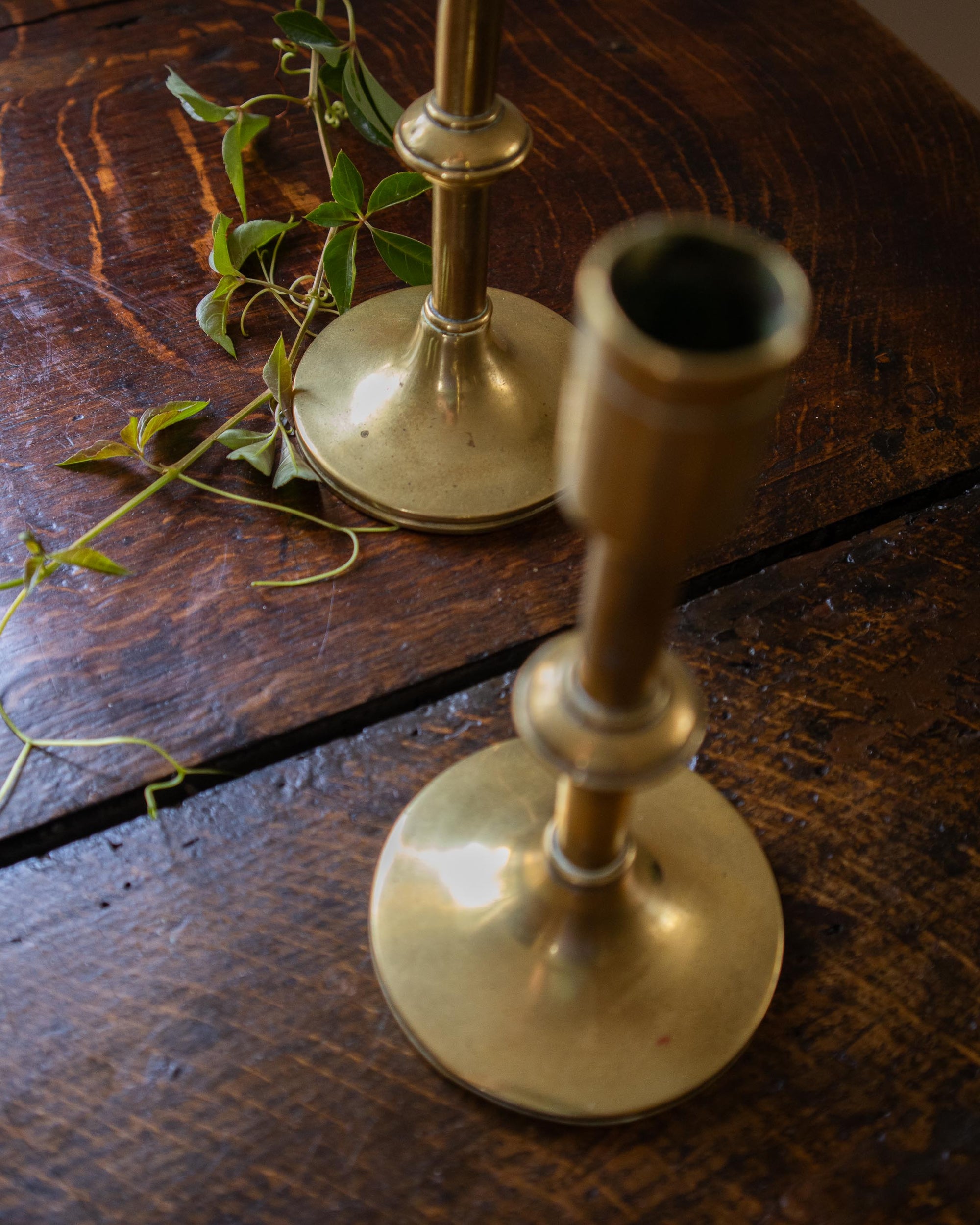 Brass candlestick on a wooden surface with greenery