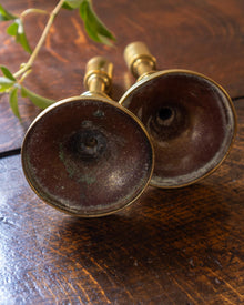 Brass candlestick on a wooden surface with green leaves.