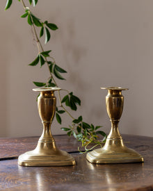 Two brass candle holders on a wooden surface with a plant in the background.