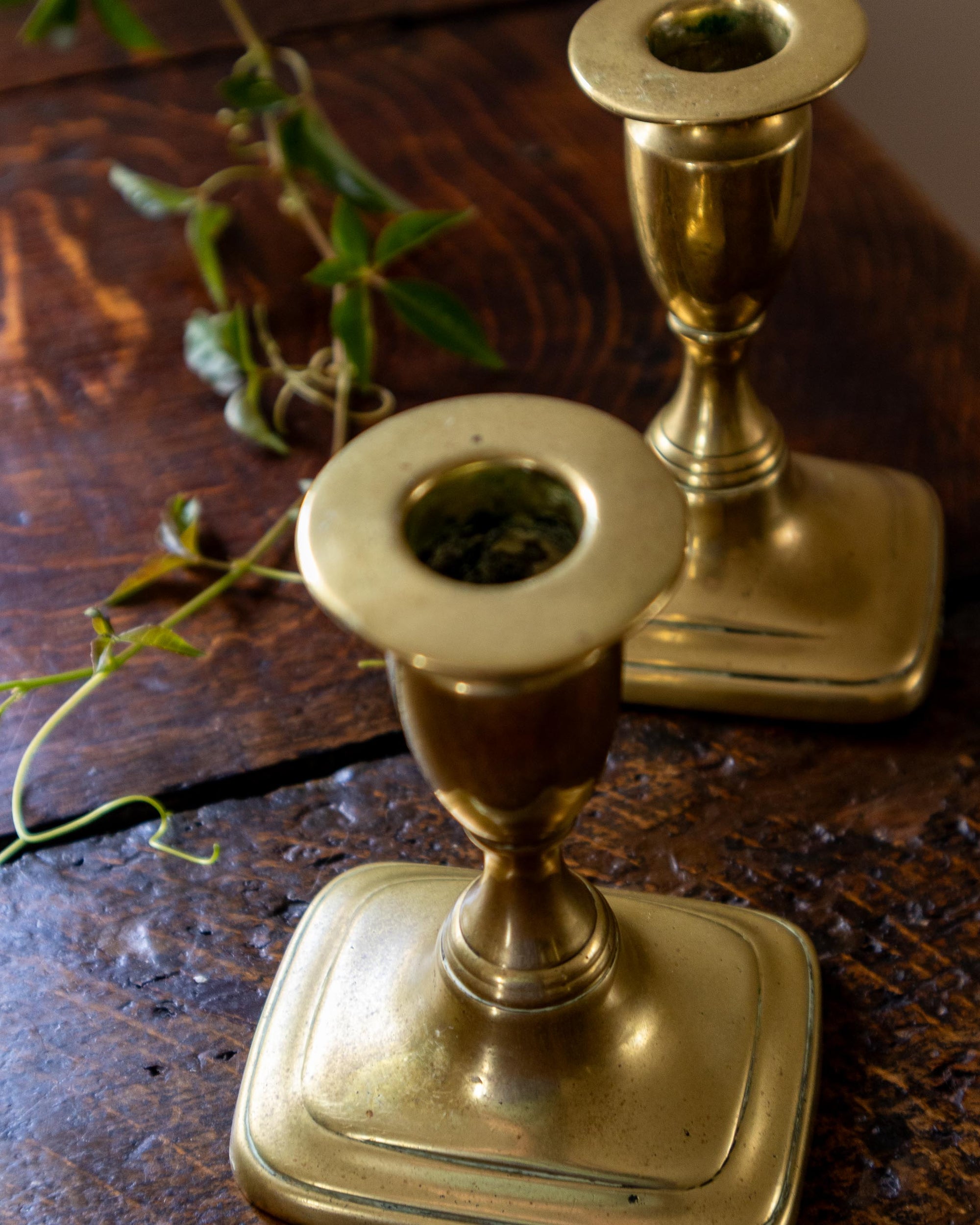 Two brass candle holders on a wooden surface with a plant in the background.