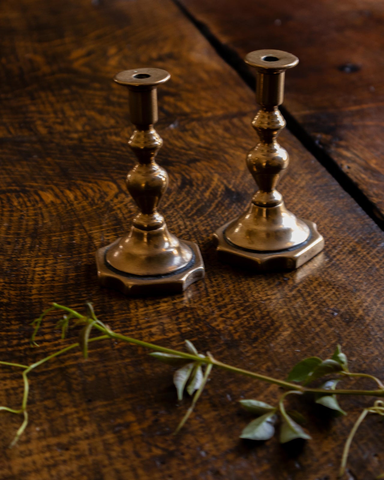 Two brass candle holders on a wooden surface with a branch in the foreground.