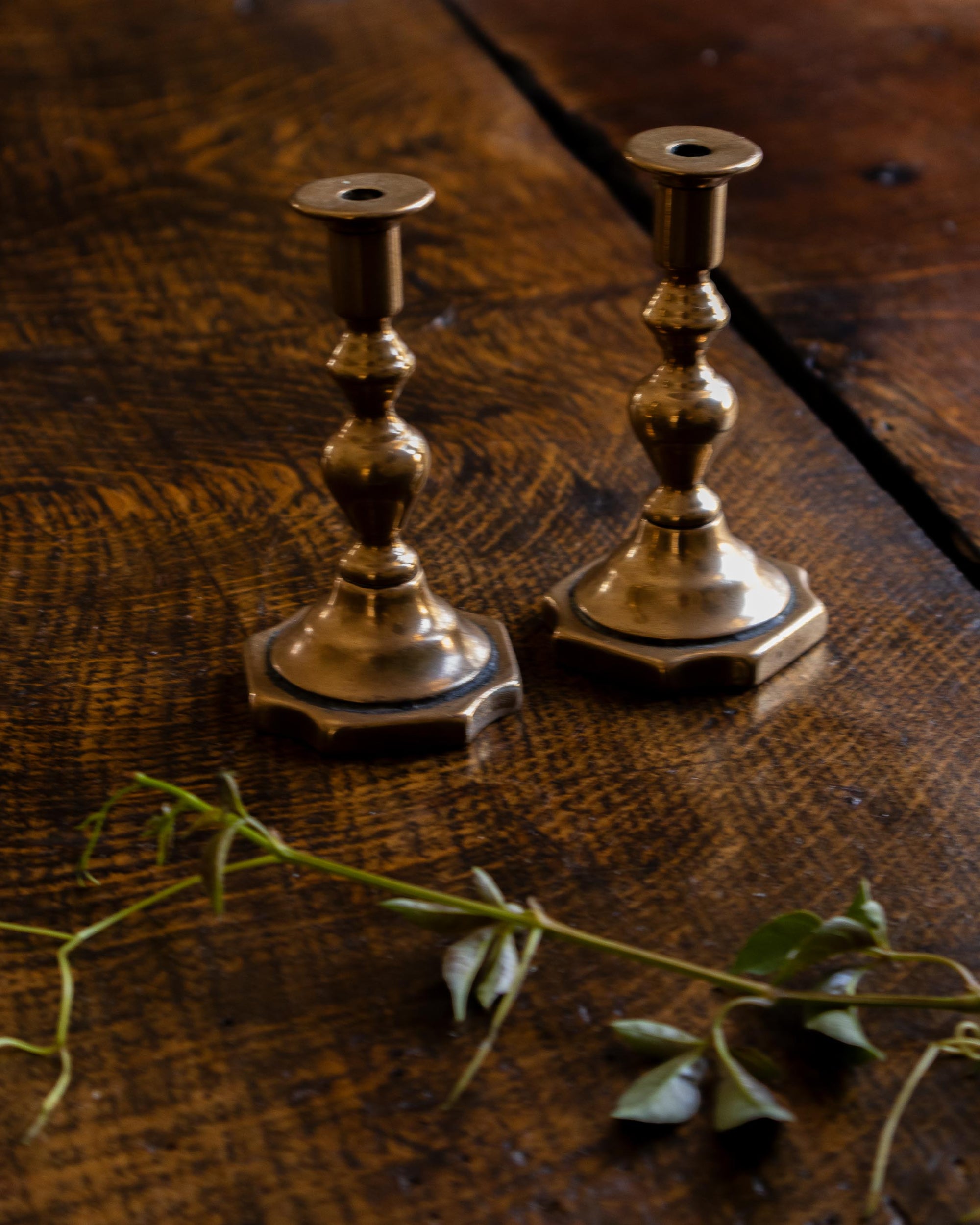 Two brass candle holders on a wooden surface with a branch in the foreground.