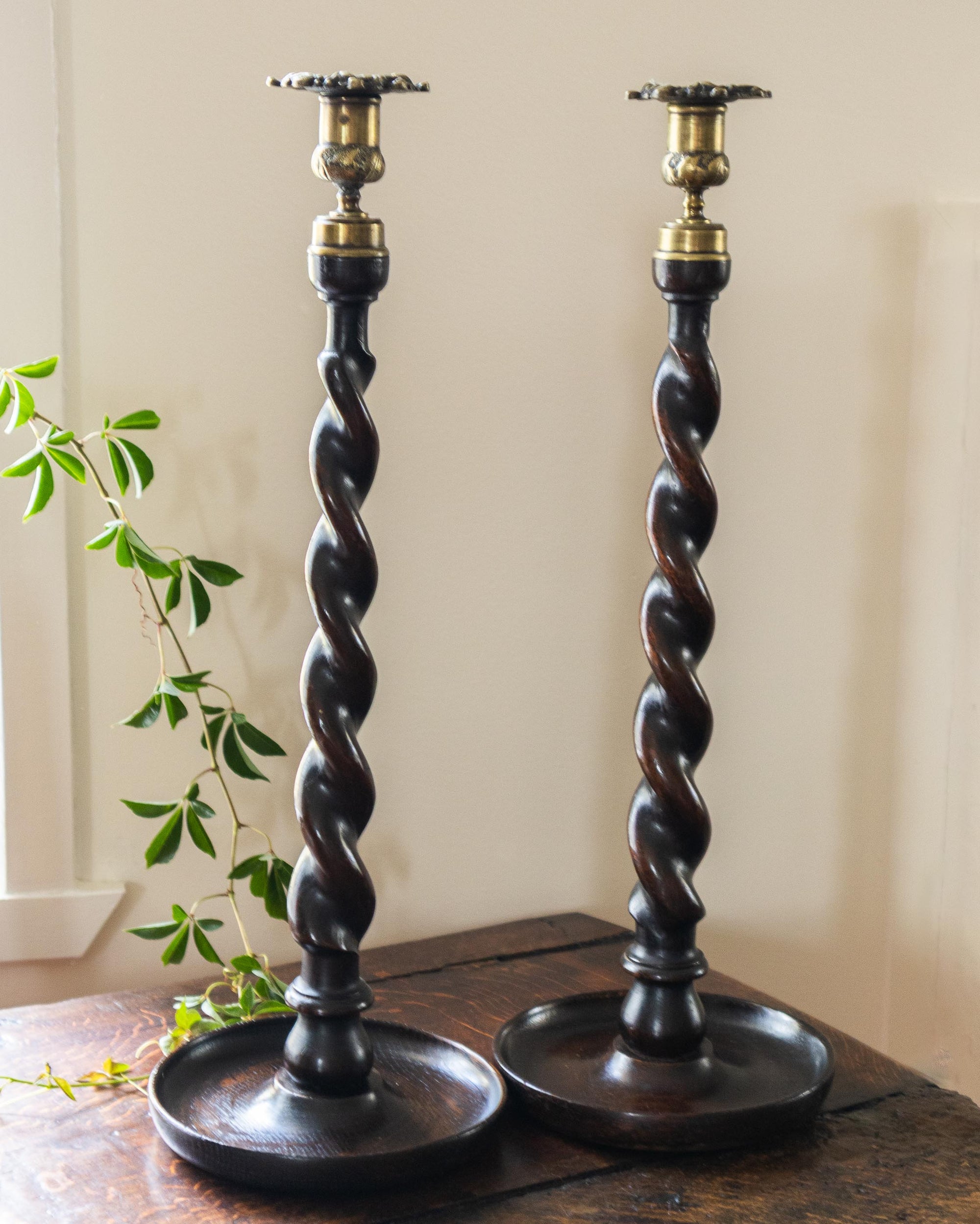 Two black twisted candlesticks on a wooden surface with a plant in the background.