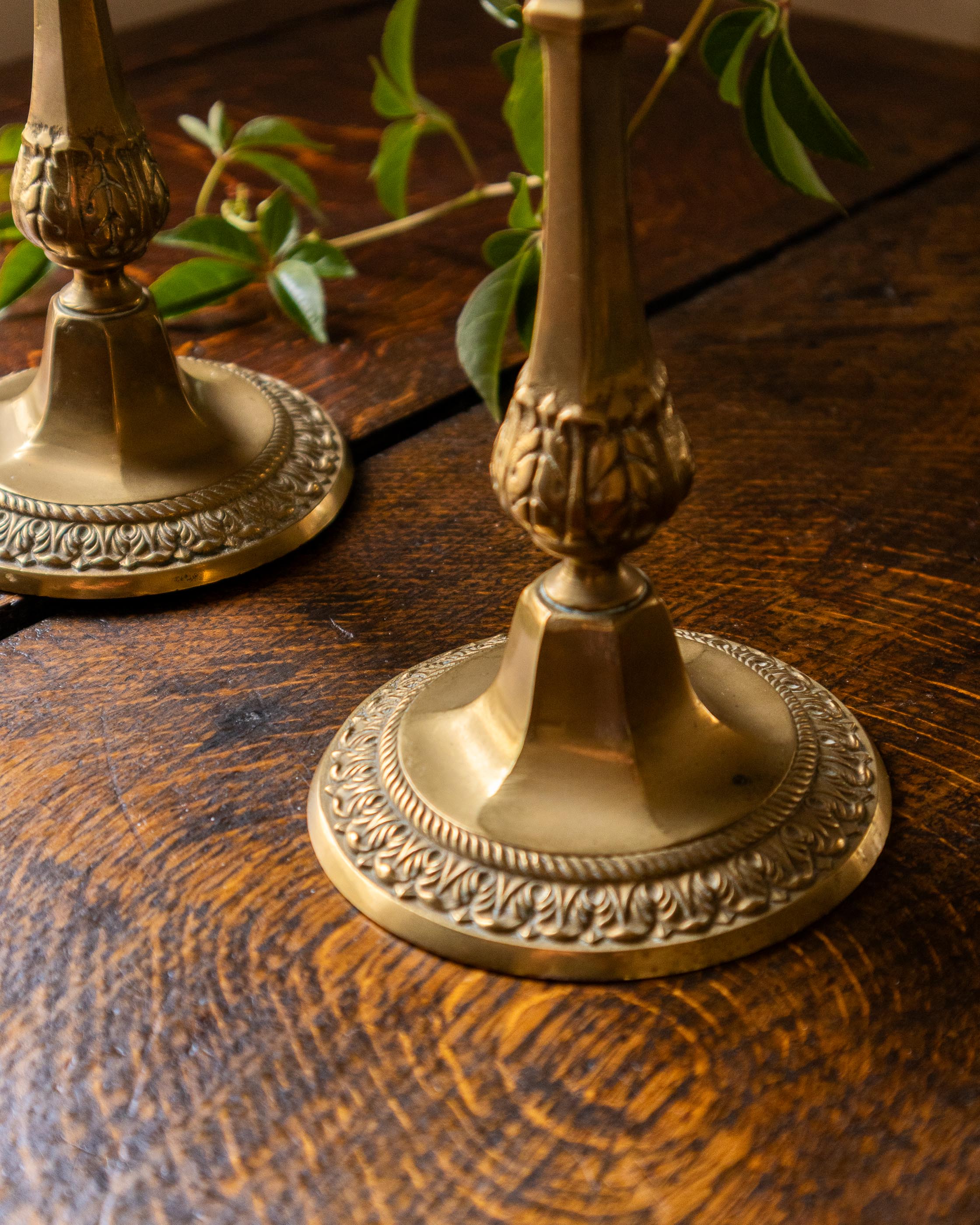 Decorative brass candlestick holders on a wooden surface with green leaves in the background.