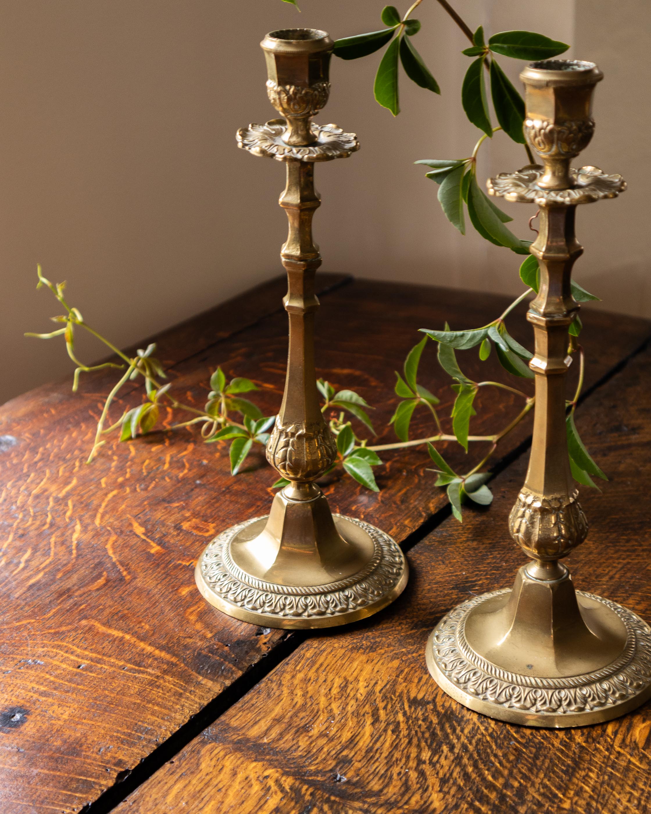 Two ornate brass candlesticks on a wooden surface with green leaves in the background.