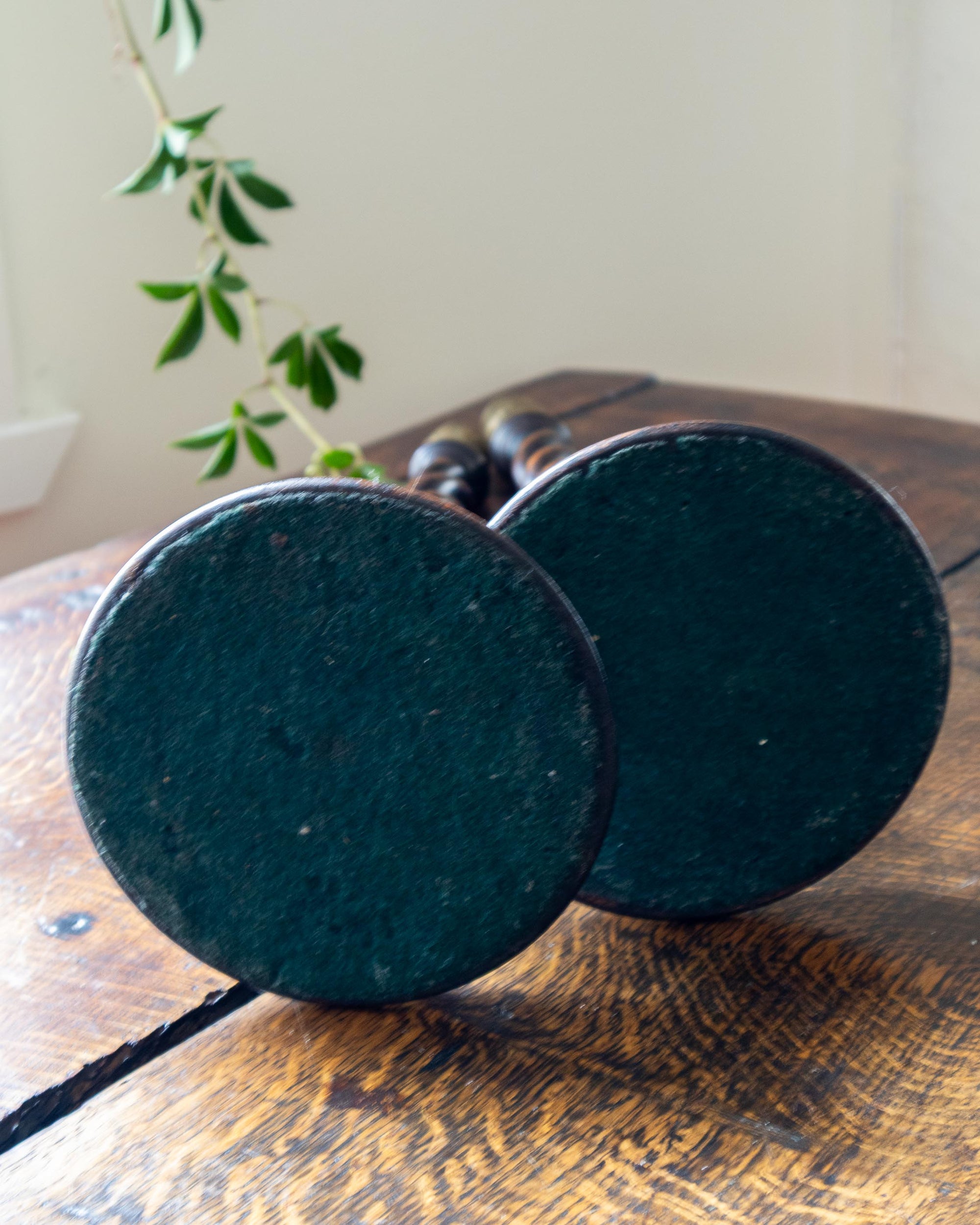 Two dark green circular bases of candlesticks on a wooden surface with a plant in the background.