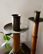 Decorative candle holder with a plant in the foreground