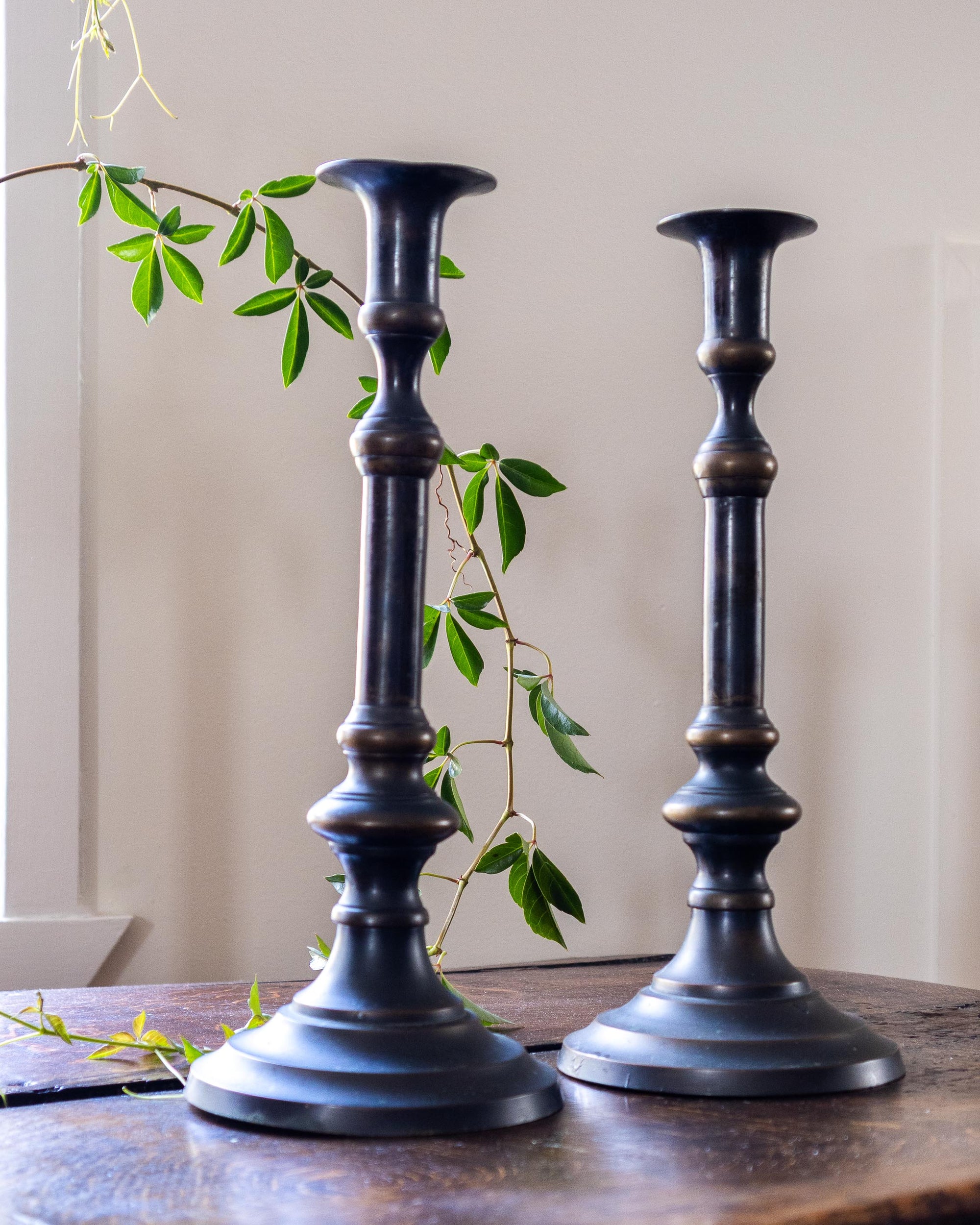 Two candle holders on a wooden surface with a plant in the background.