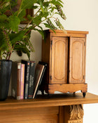 Wooden cabinet with books and a plant on a wooden surface