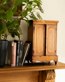 Wooden cabinet with books and a plant on a wooden surface