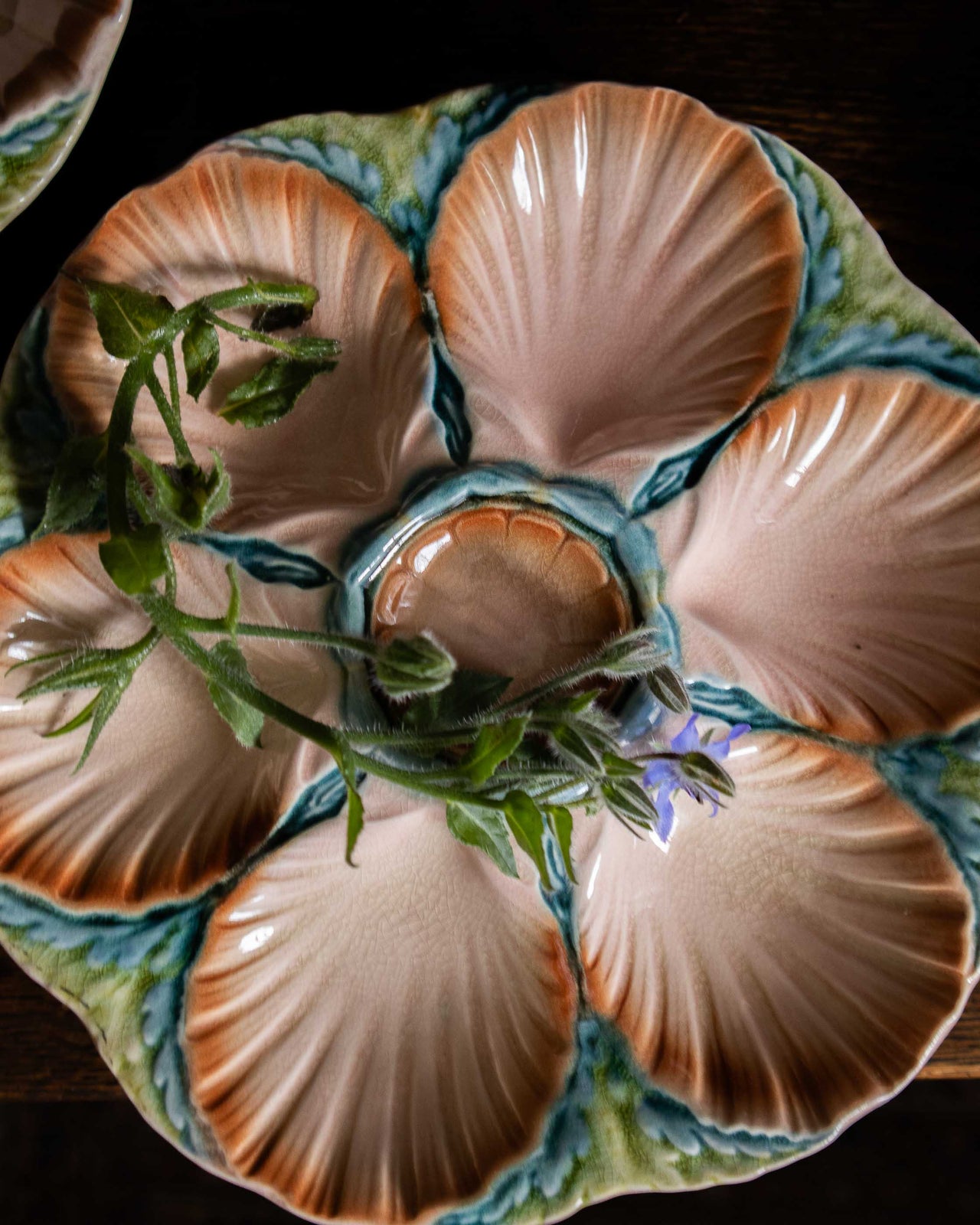 Decorative ceramic oyster plate with shell design on a dark background