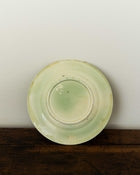 Light green ceramic plate on a wooden surface with a white background