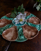 Decorative ceramic majolica oyster plate  and a white flower on a wooden surface