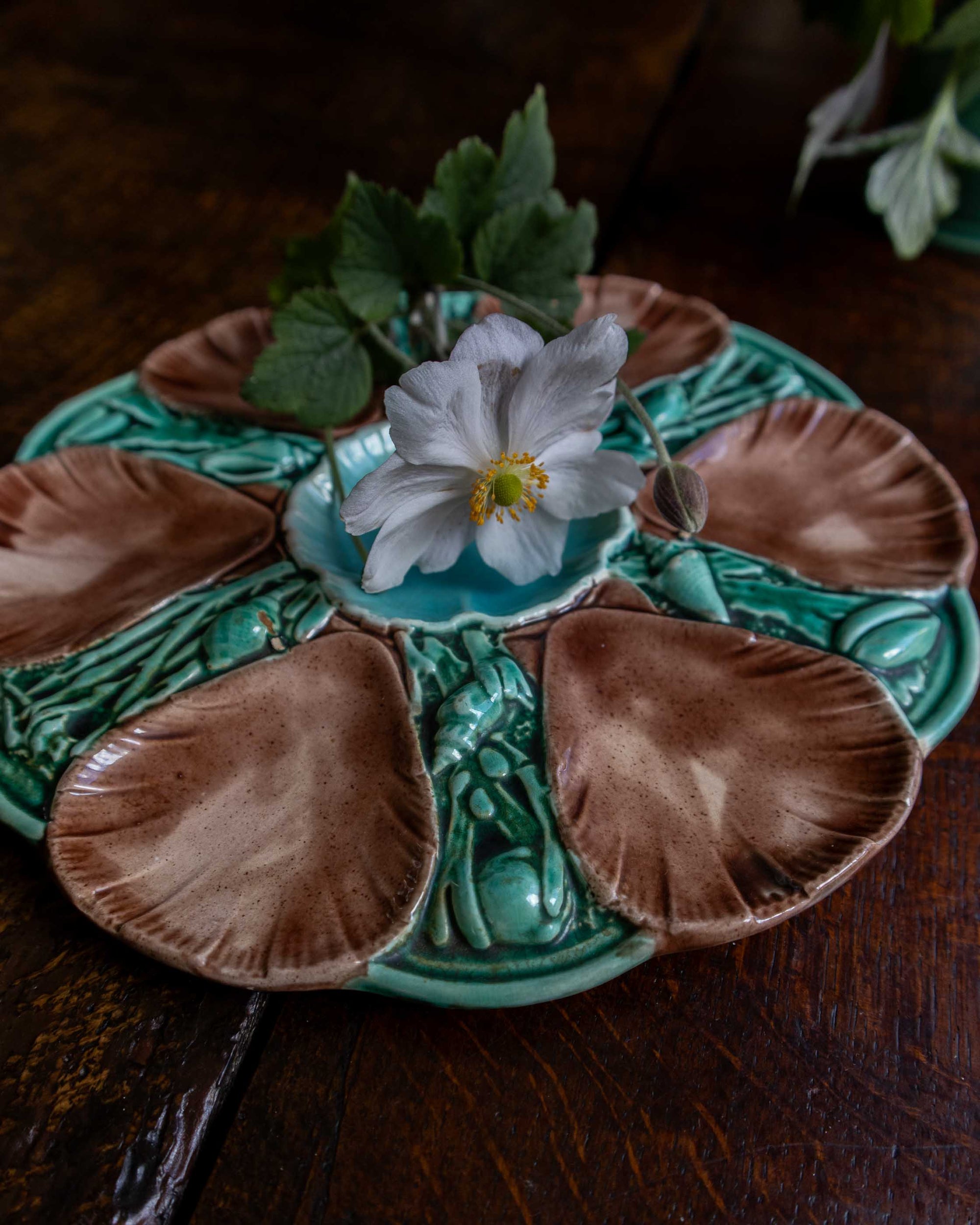 Decorative ceramic majolica oyster plate  and a white flower on a wooden surface