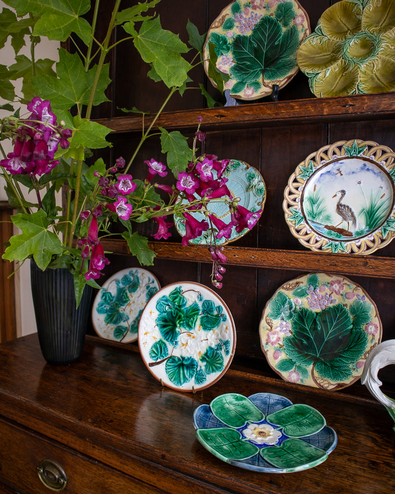 Decorative plates with floral and nature-themed designs on a wooden shelf.
