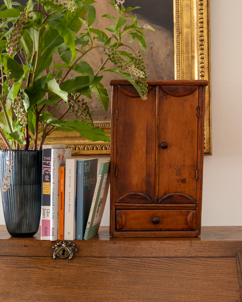 Small wooden cabinet with books and a plant on a wooden surface, with a framed picture in the background.