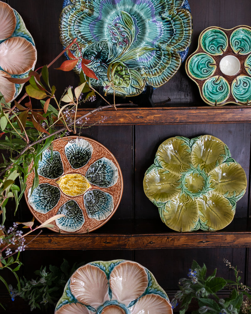 Collection of colorful ceramic plates on a dark wooden shelf with greenery.