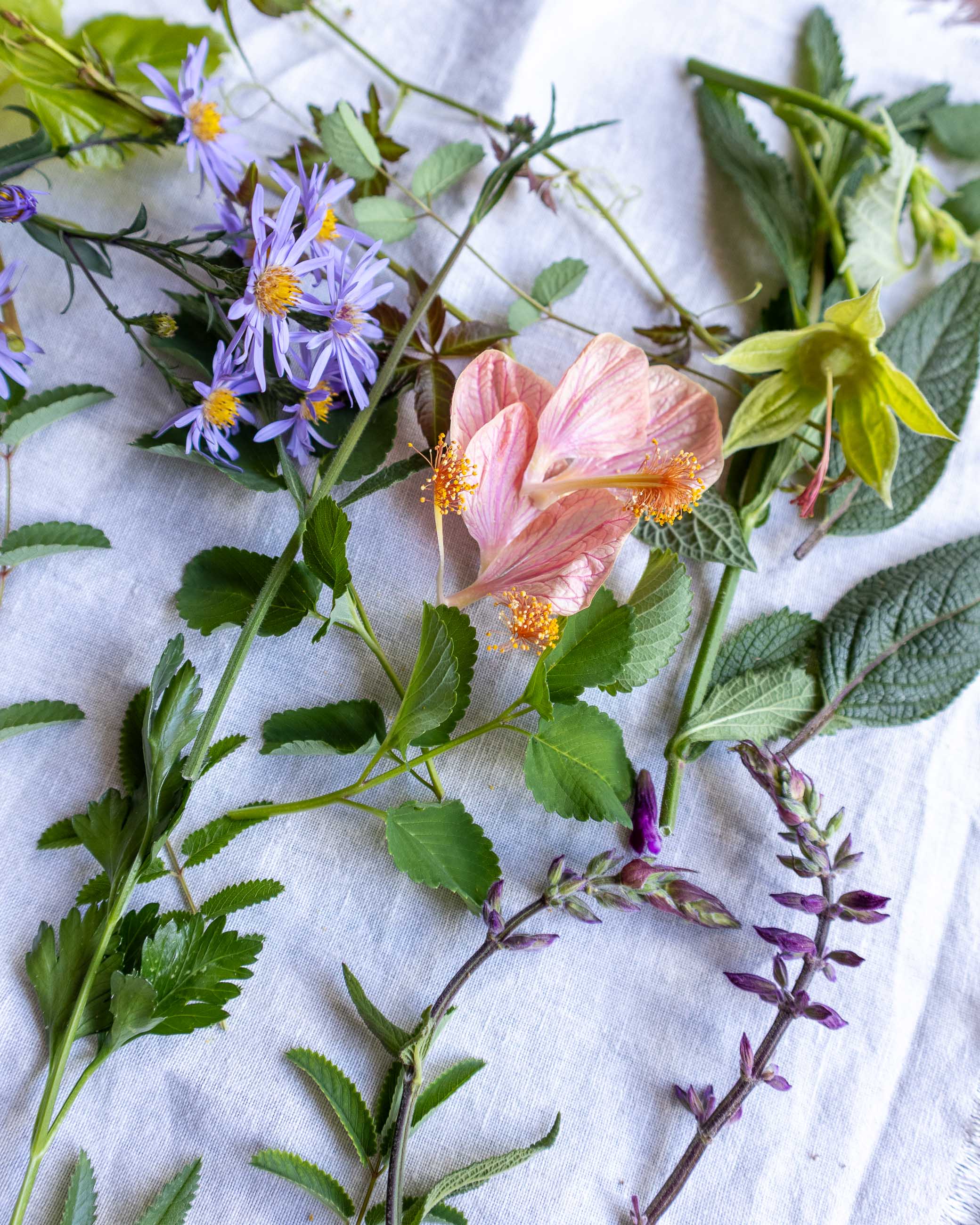 Assorted flowers and leaves on a white fabric background