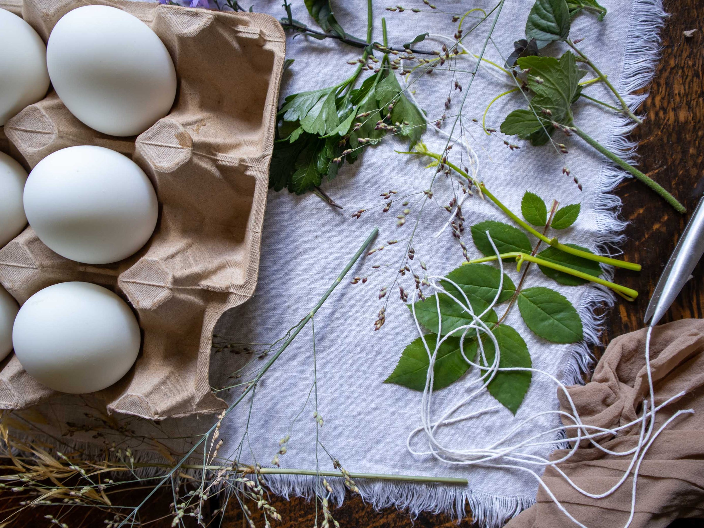 Carton of eggs on a rustic surface with greenery
