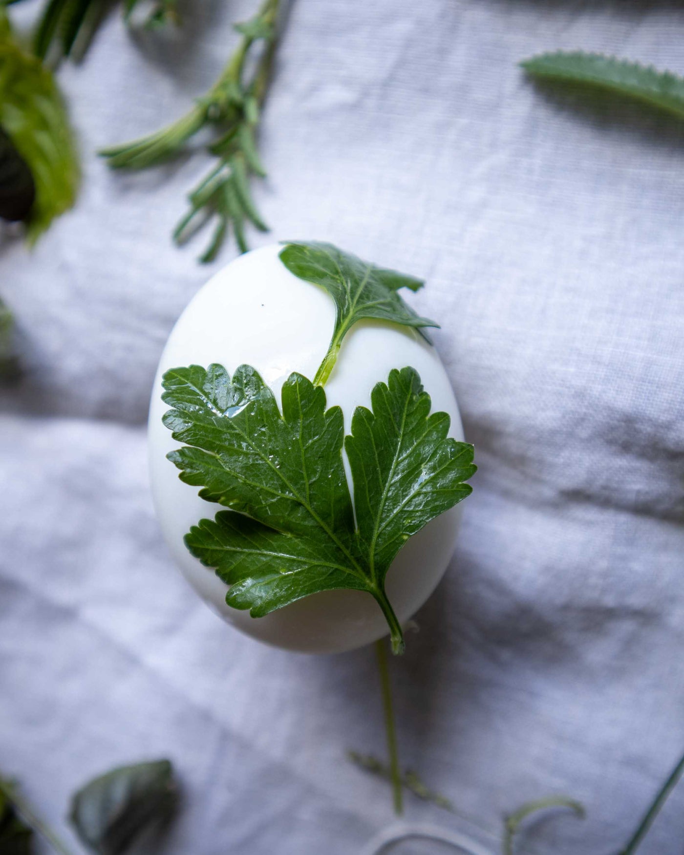 White egg with green leaves on a textured white surface