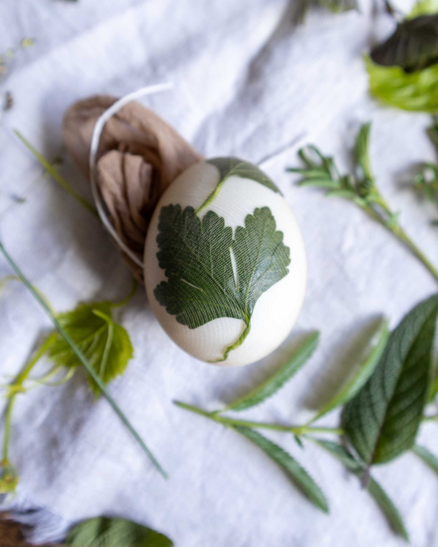 Egg with green leaf design on a white cloth with green leaves