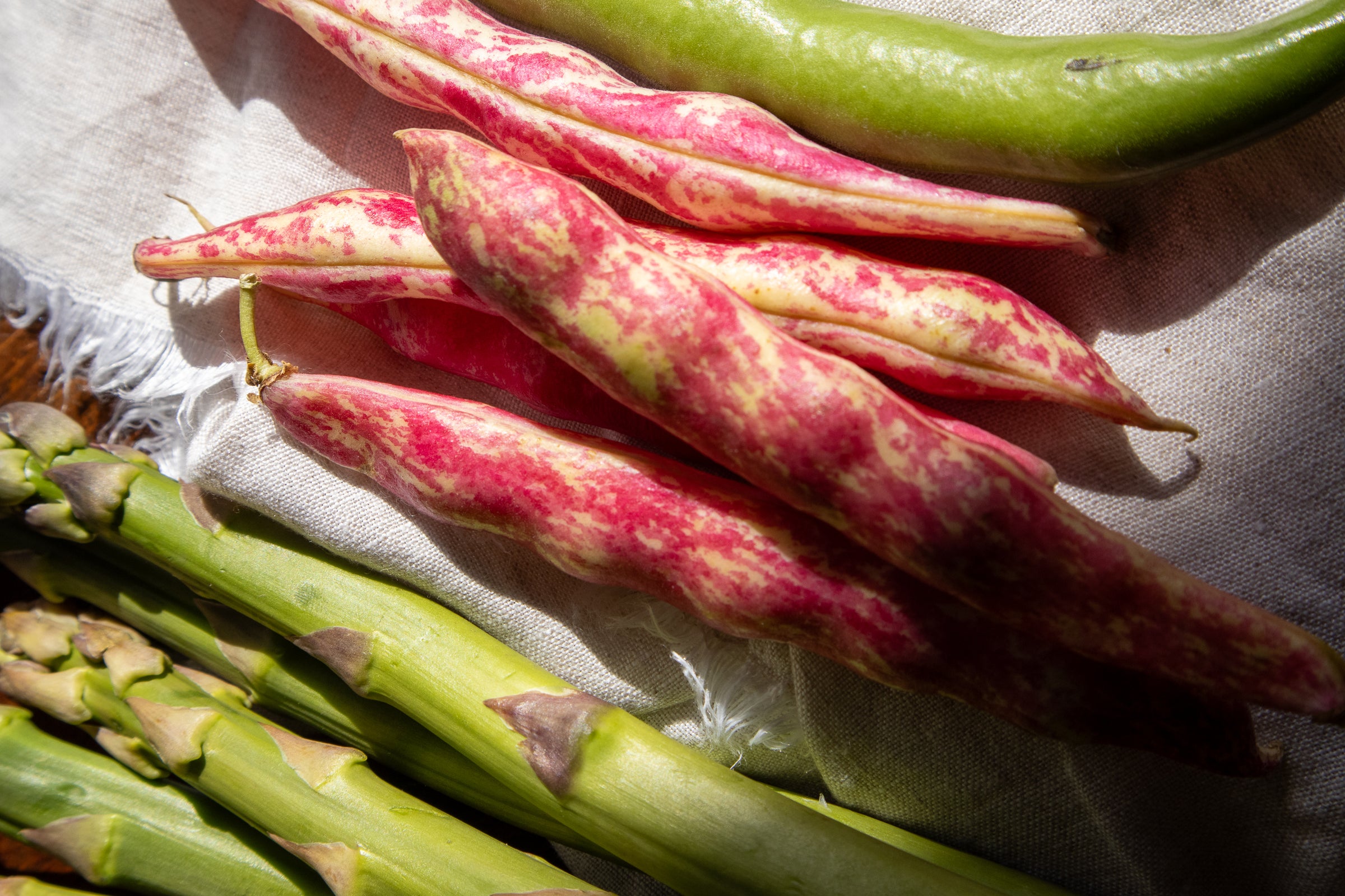 Green asparagus spears and red and green beans on a textured surface
