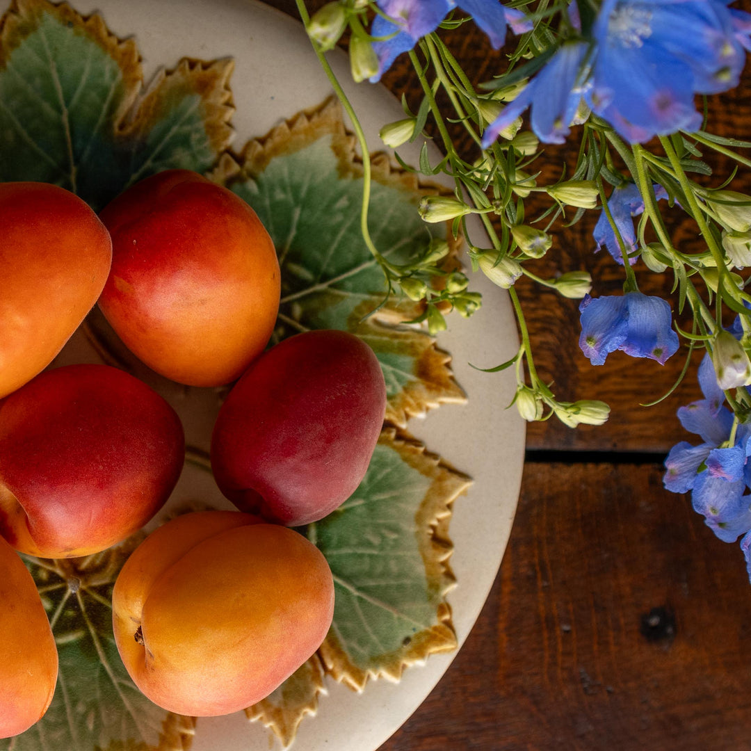 Assorted apricots on a decorative plate with a bouquet of blue flowers.
