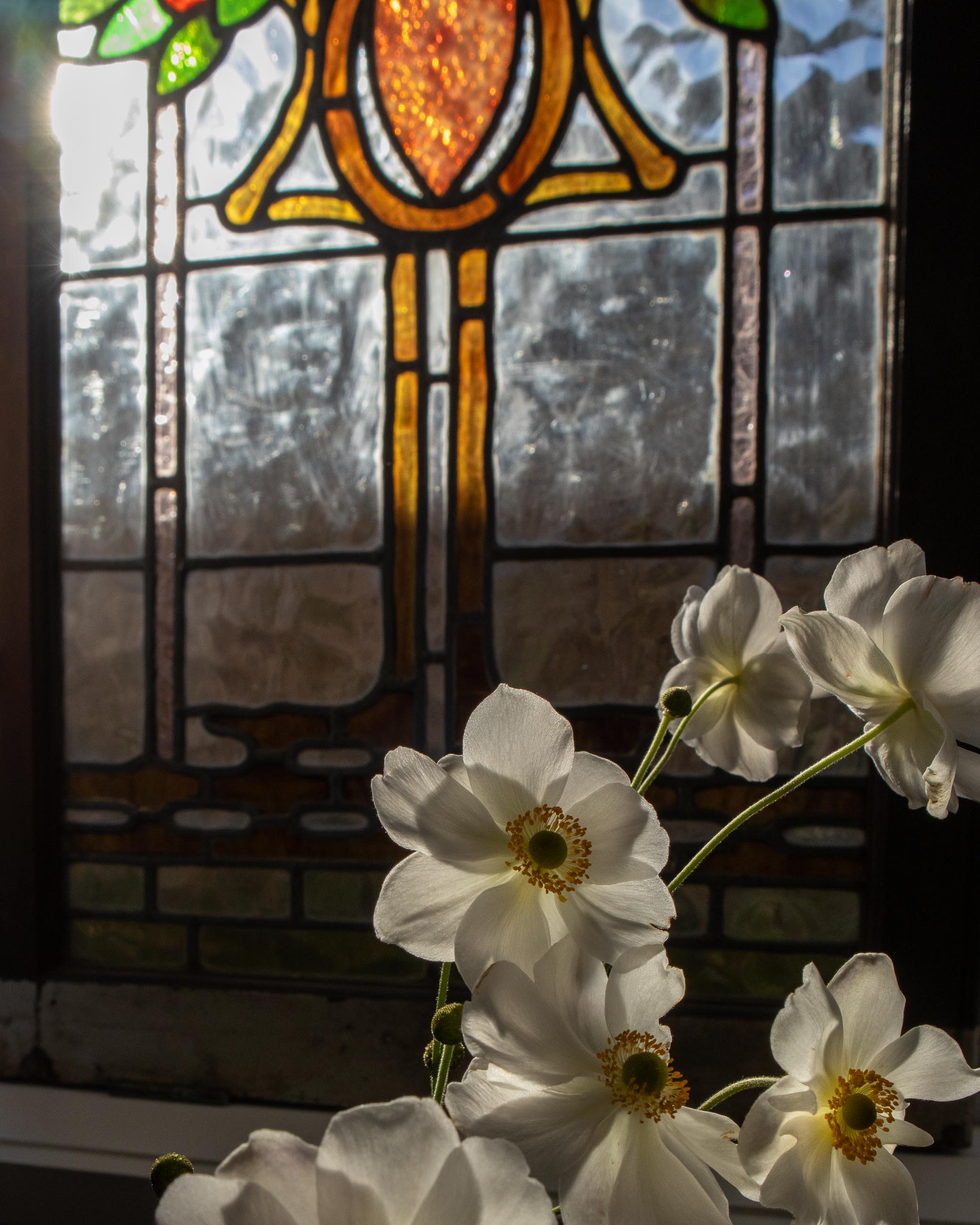 White flowers in front of a stained glass window
