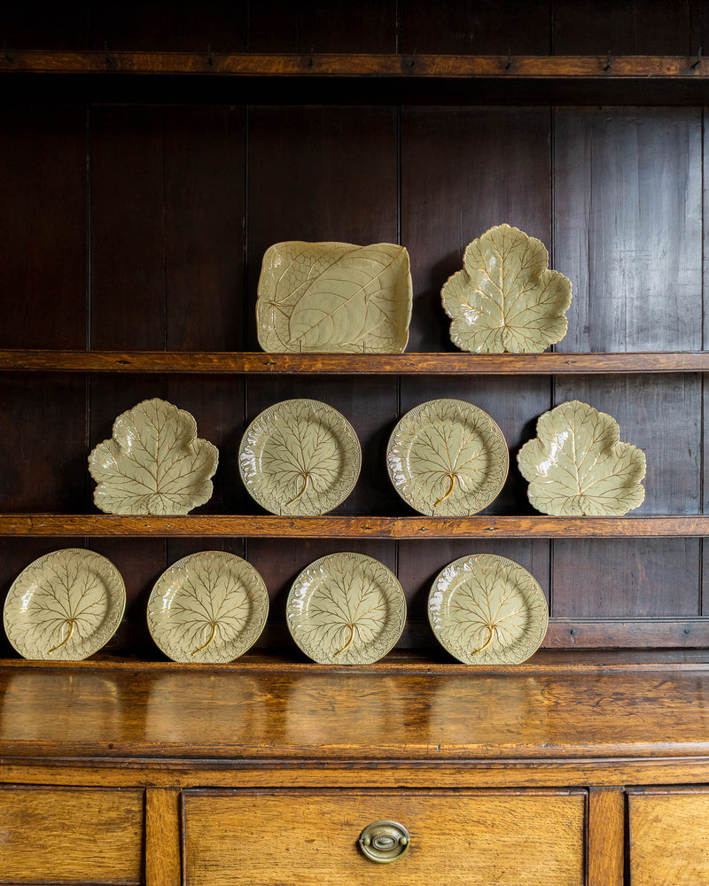 Set of Wedgwood ceramic plates with leaf designs on a wooden shelf.