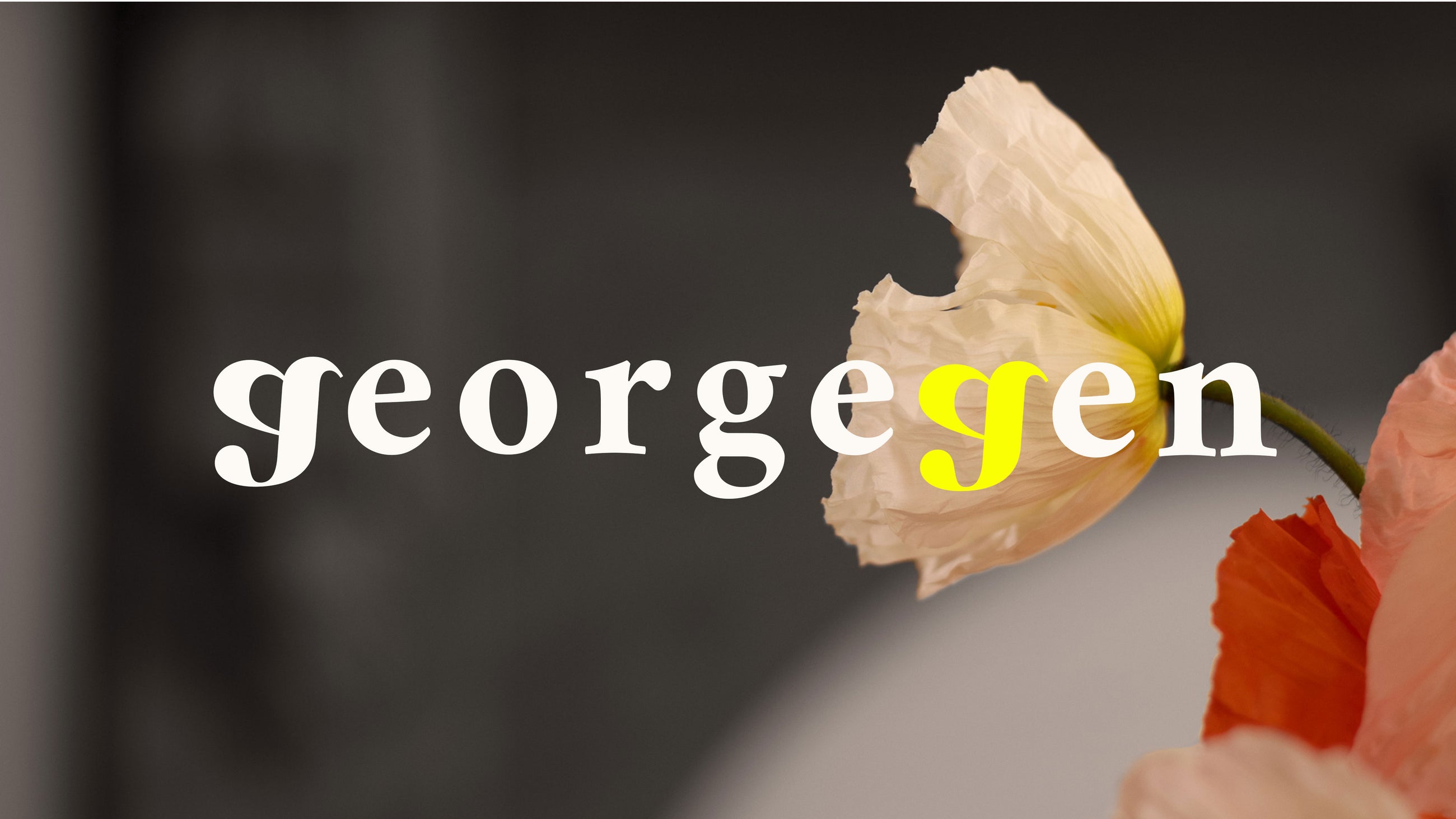 Poppy flowers on a black and white background with the text Georgegen 